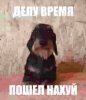 ya_rok_zvezda - смотрит на сайте бесплатно